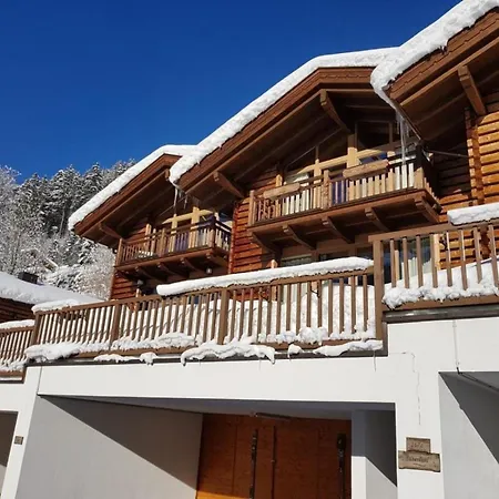 Schöneben Haus Silberdistel Wald im Pinzgau